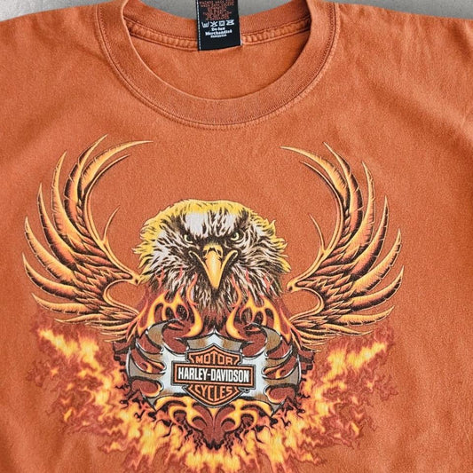 2006 Harley Davidson Graphic Tee - Large חולצת הארלי דיווידסון גרפית משנת 2006 במידה L