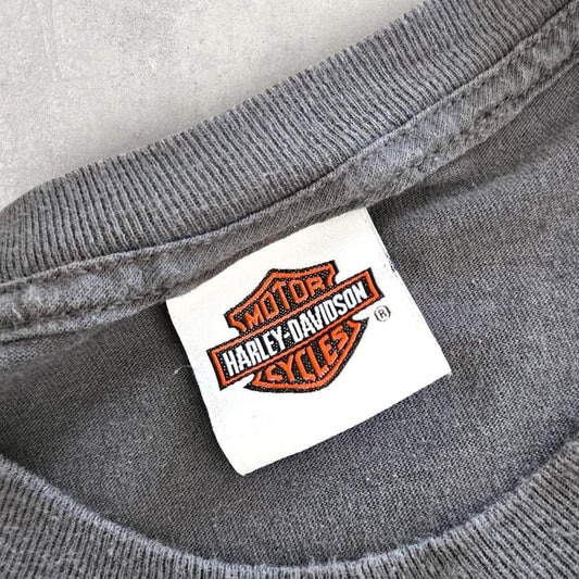 Harley Davidson Grey Graphic Tshirt - XL Harley Davidson Grey Graphic Tshirt - XL Lizard Vintage Clothes 150.00 NIS T-Shirts