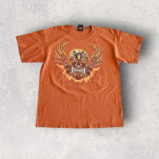 2006 Harley Davidson Graphic Tee - Large חולצת הארלי דיווידסון גרפית משנת 2006 במידה L