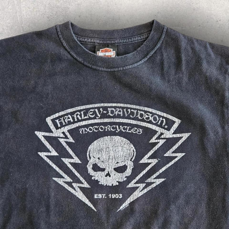 Harley Davidson 2004 Tee - Small חולצת טי הארלי דיווידסון משנת 2004, מידה S, מצב 9/10, דהייה קלה, ללא פגמים