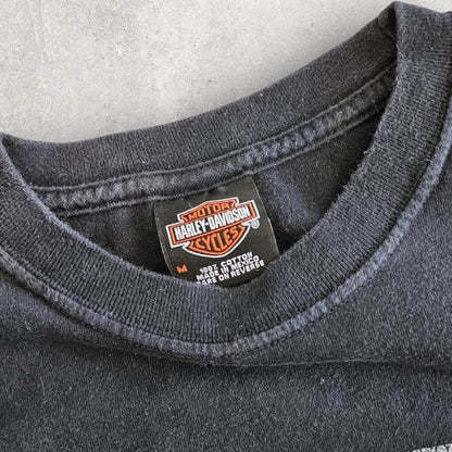 Harley Davidson 2004 Tee - Small חולצת טי הארלי דיווידסון משנת 2004, מידה S, מצב 9/10, דהייה קלה, ללא פגמים