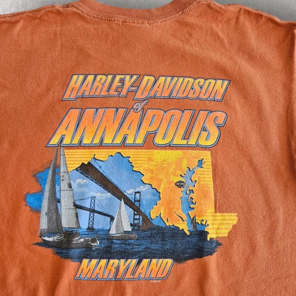 2006 Harley Davidson Graphic Tee - Large חולצת הארלי דיווידסון גרפית משנת 2006 במידה L
