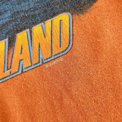 2006 Harley Davidson Graphic Tee - Large חולצת הארלי דיווידסון גרפית משנת 2006 במידה L