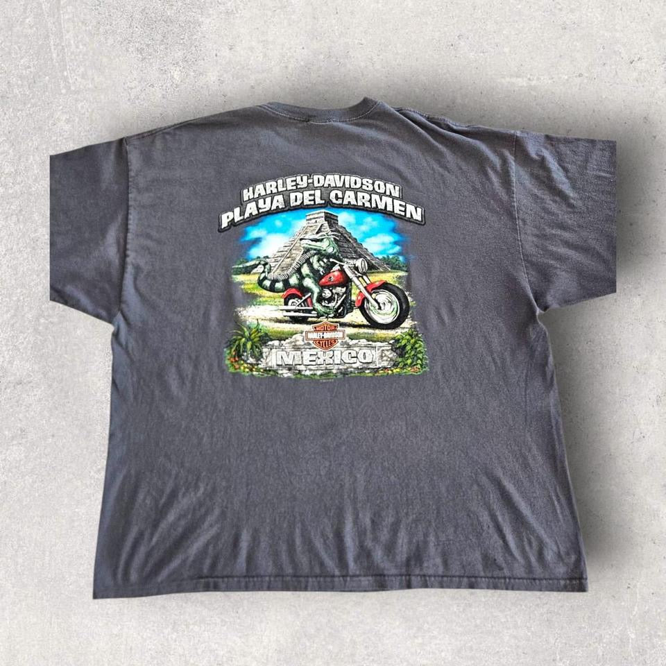 Harley Davidson Grey Graphic Tshirt - XL Harley Davidson Grey Graphic Tshirt - XL Lizard Vintage Clothes 150.00 NIS T-Shirts