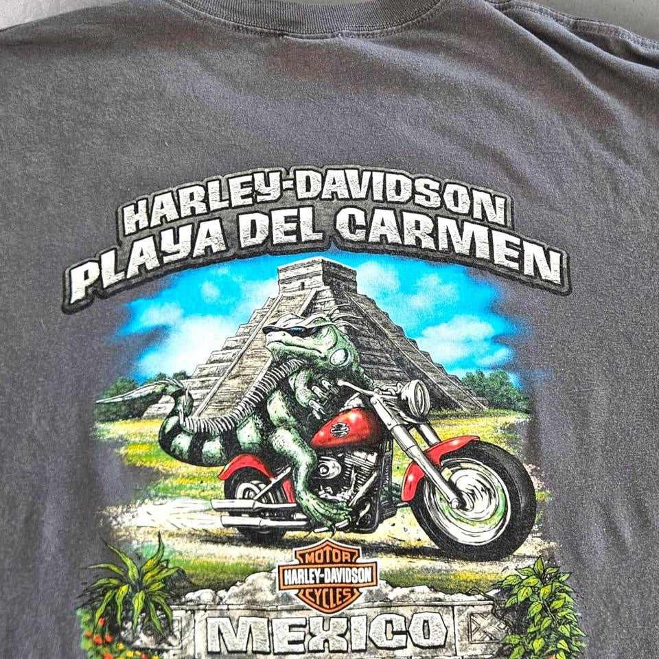 Harley Davidson Grey Graphic Tshirt - XL Harley Davidson Grey Graphic Tshirt - XL Lizard Vintage Clothes 150.00 NIS T-Shirts