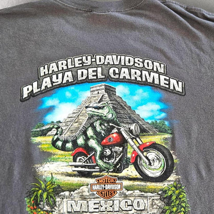 Harley Davidson Grey Graphic Tshirt - XL Harley Davidson Grey Graphic Tshirt - XL Lizard Vintage Clothes 150.00 NIS T-Shirts